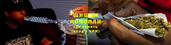 крисы Пестово