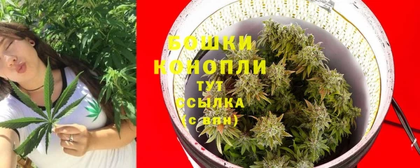 герыч Пересвет