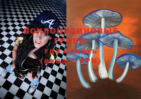 крисы Пестово