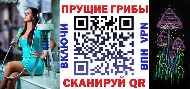 Купить где  Сибай  Псилоцибиновые грибы MAGIC MUSHROOMS 